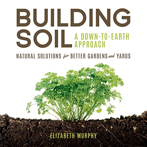 Cover of Building Soil: A Down-to-Earth Approach