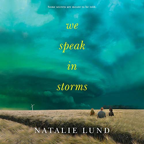 Cover of We Speak in Storms