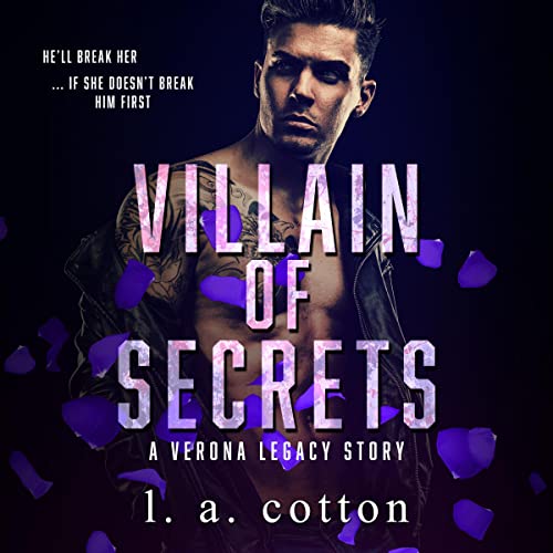 Cover of Villain of Secrets