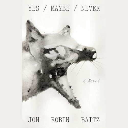 Cover of Yes/Maybe/Never