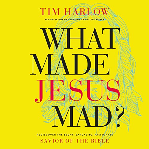Cover of What Made Jesus Mad?