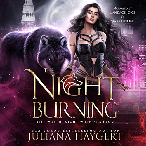 Cover of The Night Burning
