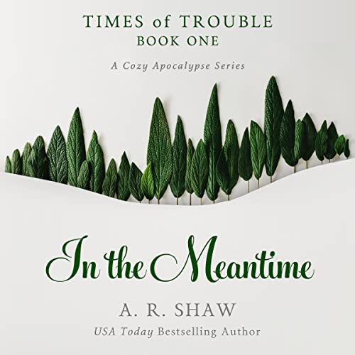 Cover of In the Meantime