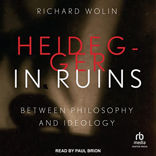 Cover of Heidegger in Ruins