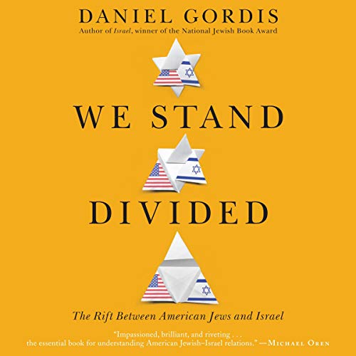 Cover of We Stand Divided