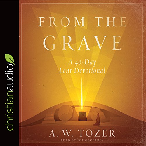 Cover of From the Grave