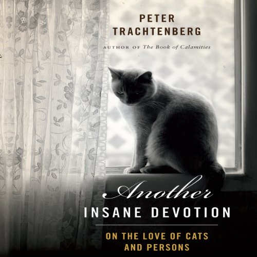 Cover of Another Insane Devotion