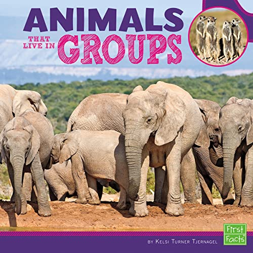 Cover of Animals that Live in Groups