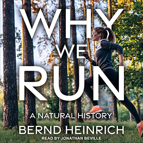 Cover of Why We Run