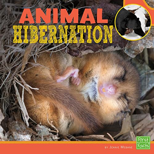 Cover of Animal Hibernation