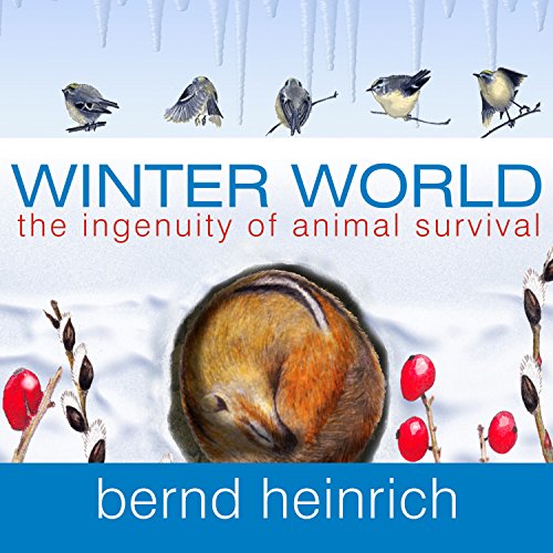 Cover of Winter World