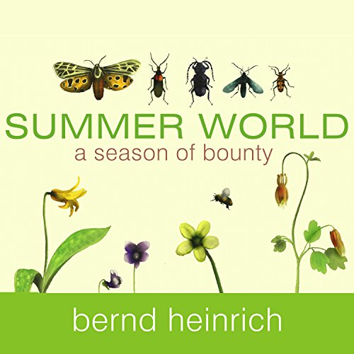 Cover of Summer World