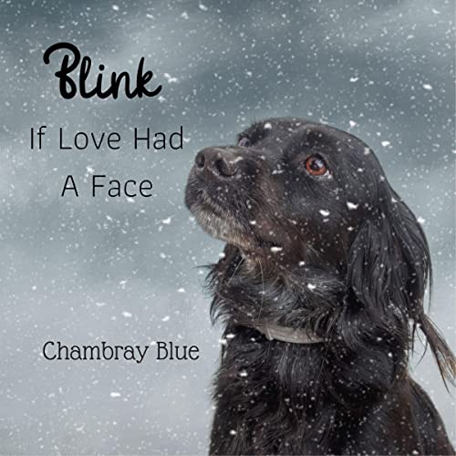 Cover of Blink: If Love Had a Face
