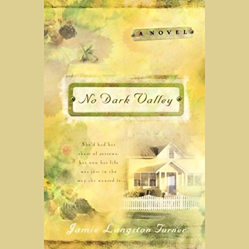 Cover of No Dark Valley