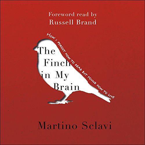 Cover of The Finch in My Brain