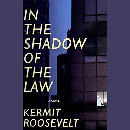 Cover of In the Shadow of the Law