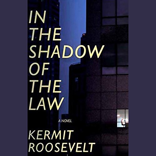 Cover of In the Shadow of the Law