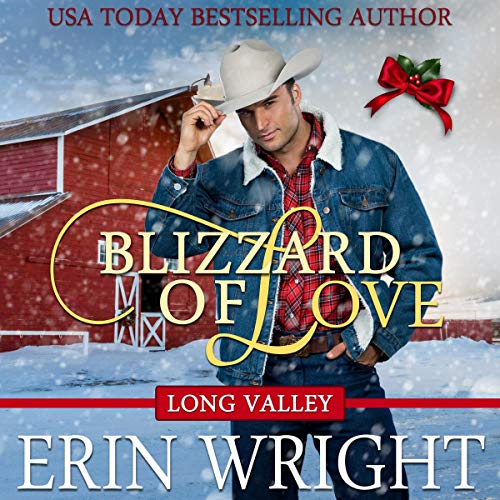 Cover of Blizzard of Love