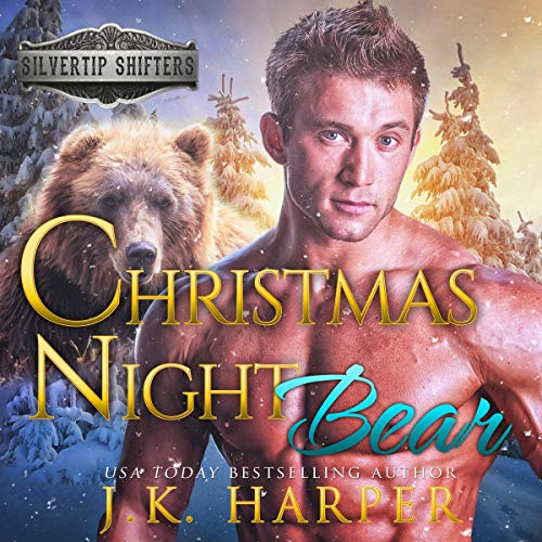 Cover of Christmas Night Bear