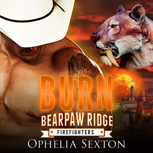 Cover of Burn