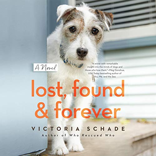 Cover of Lost, Found, and Forever
