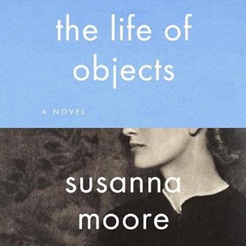 Cover of The Life of Objects