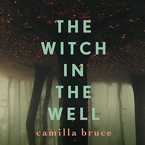 Cover of The Witch In The Well