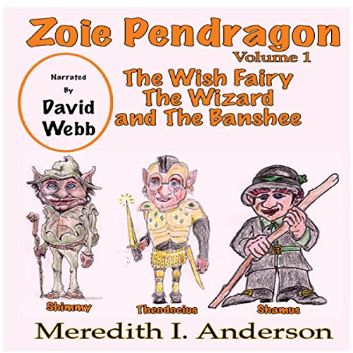 Cover of The Wish Fairy The Wizard and The Banshee