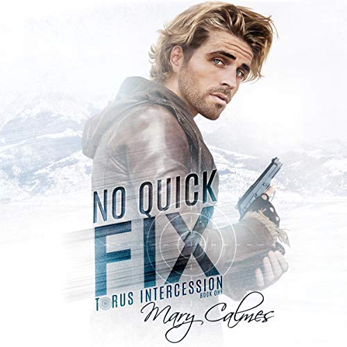 Cover of No Quick Fix