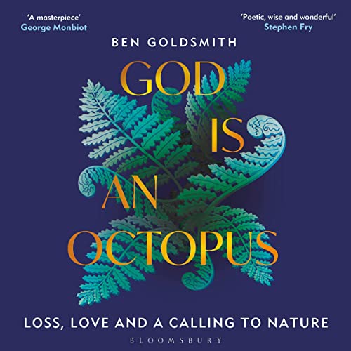 Cover of God Is An Octopus