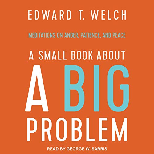 Cover of A Small Book about a Big Problem