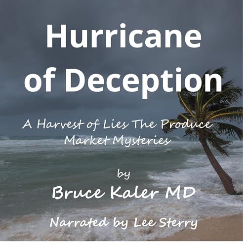 Cover of Hurricane of Deception