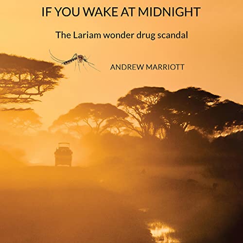 Cover of If You Wake at Midnight
