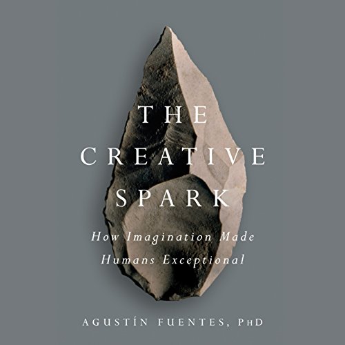 Cover of The Creative Spark