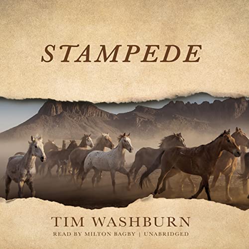 Cover of Stampede