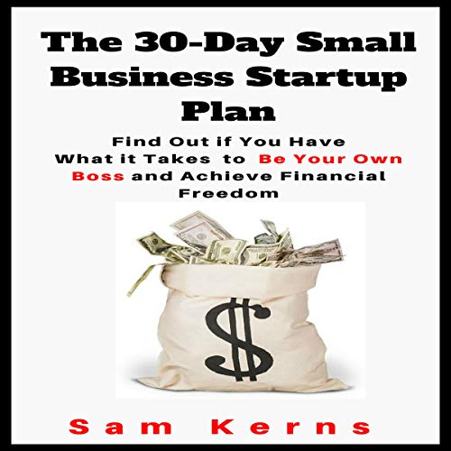 Cover of The 30-Day Small Business Startup Plan: Find Out If You Have What It Takes to Be Your Own Boss and Achieve Financial Freedom