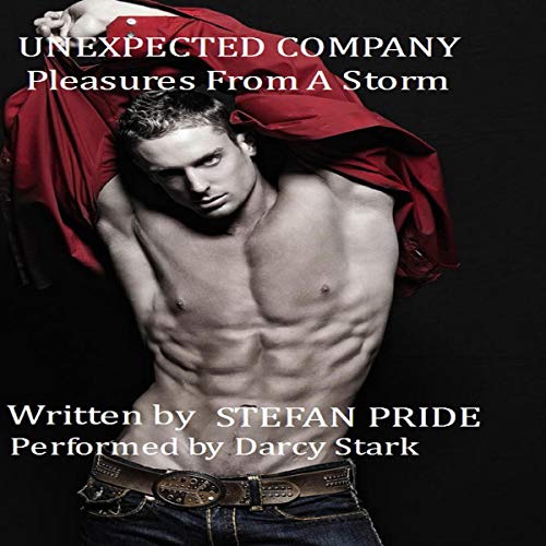 Cover of Unexpected Company: Pleasures from a Storm