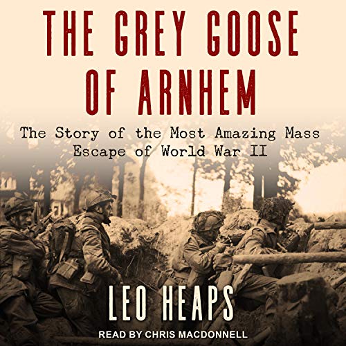 Cover of The Grey Goose of Arnhem