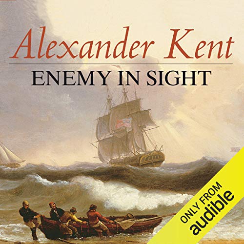 Cover of Enemy in Sight