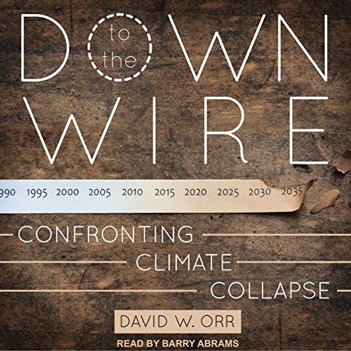 Cover of Down to the Wire
