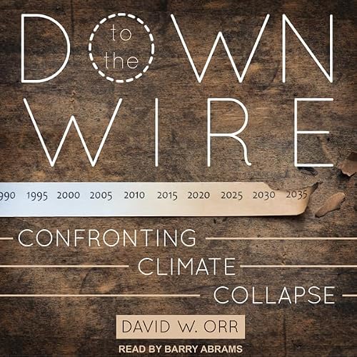 Cover of Down to the Wire