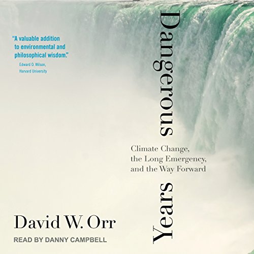 Cover of Dangerous Years