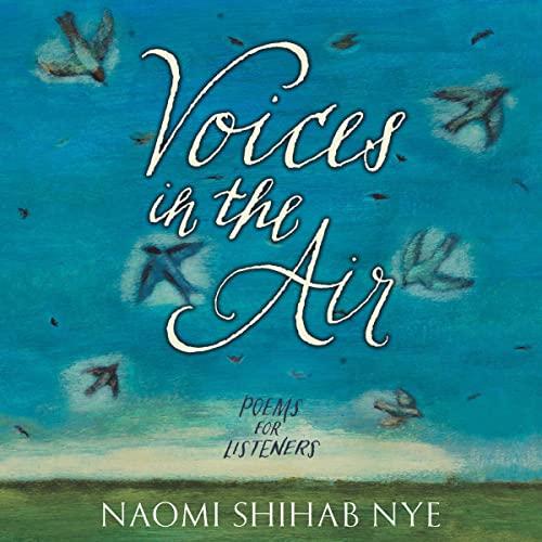 Cover of Voices in the Air