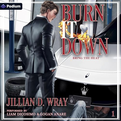 Cover of Burn It Down