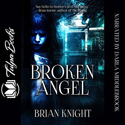Cover of Broken Angel