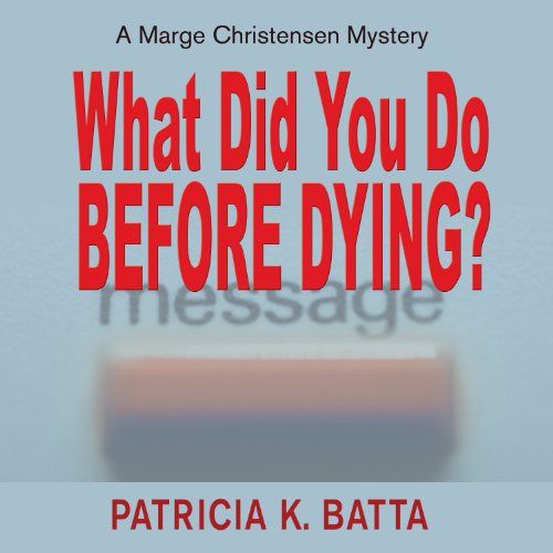 Cover of What Did You Do Before Dying?