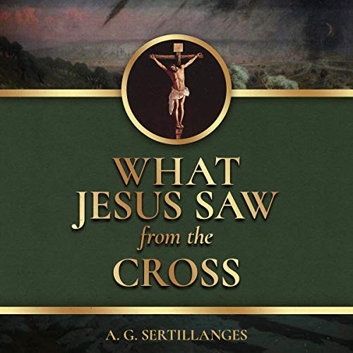 Cover of What Jesus Saw from the Cross