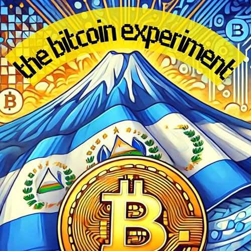 Cover of The Bitcoin Experiment