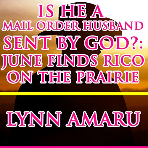 Cover of Is He a Mail Order Husband Sent by God?