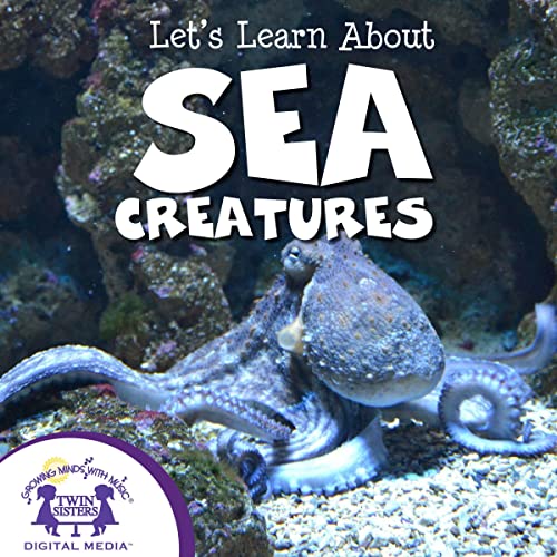 Cover of Let's Learn About Sea Creatures